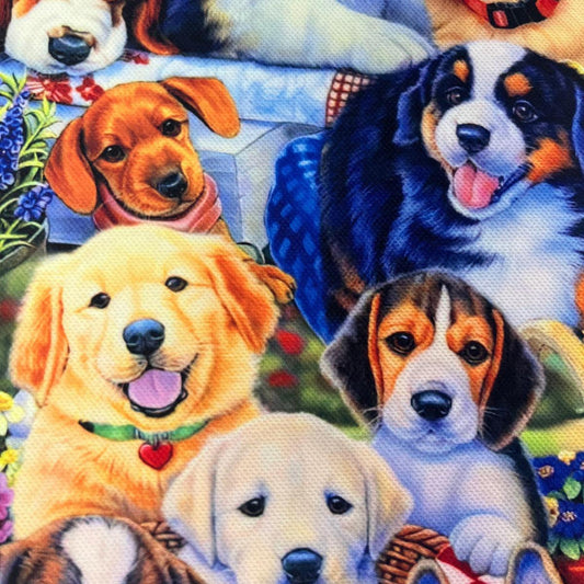 Tissu Multi-Races de Chiens Colorés - Design Graphique Mytissus pour Déco et Mode - Boutique MyTissus Marckolsheim Alsace