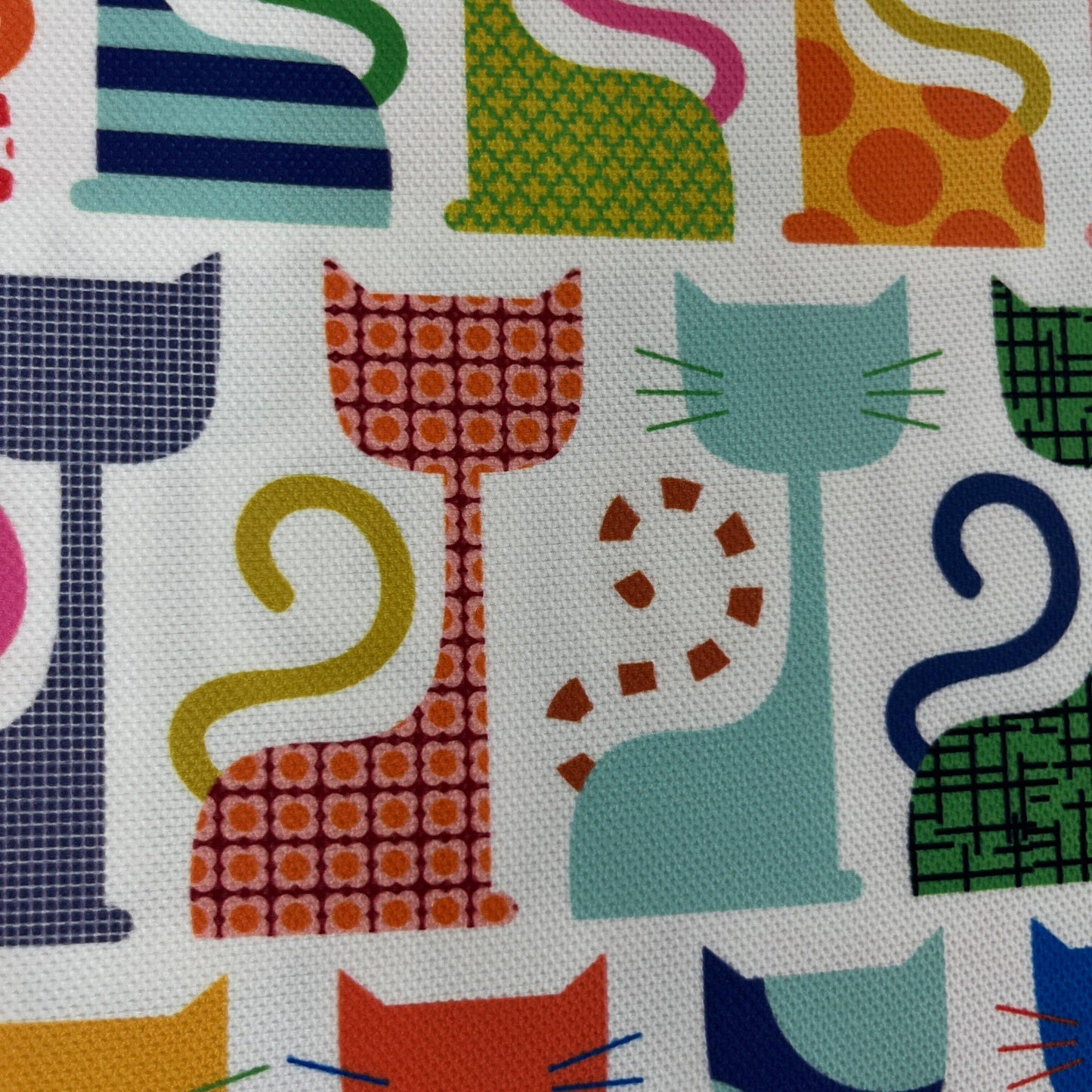 Tissu Impression Numérique - Chats Design - MYTISSUS