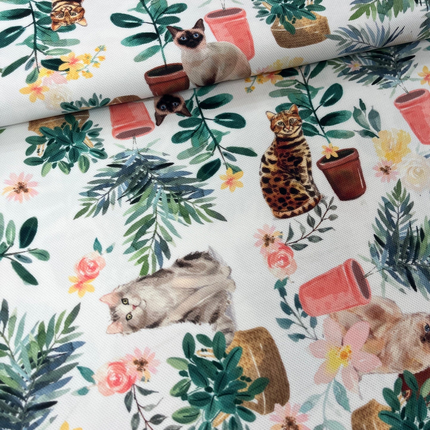Tissu Impression Numérique - Chats et Pots de Fleurs Tissu Ameublement MYTISSUS