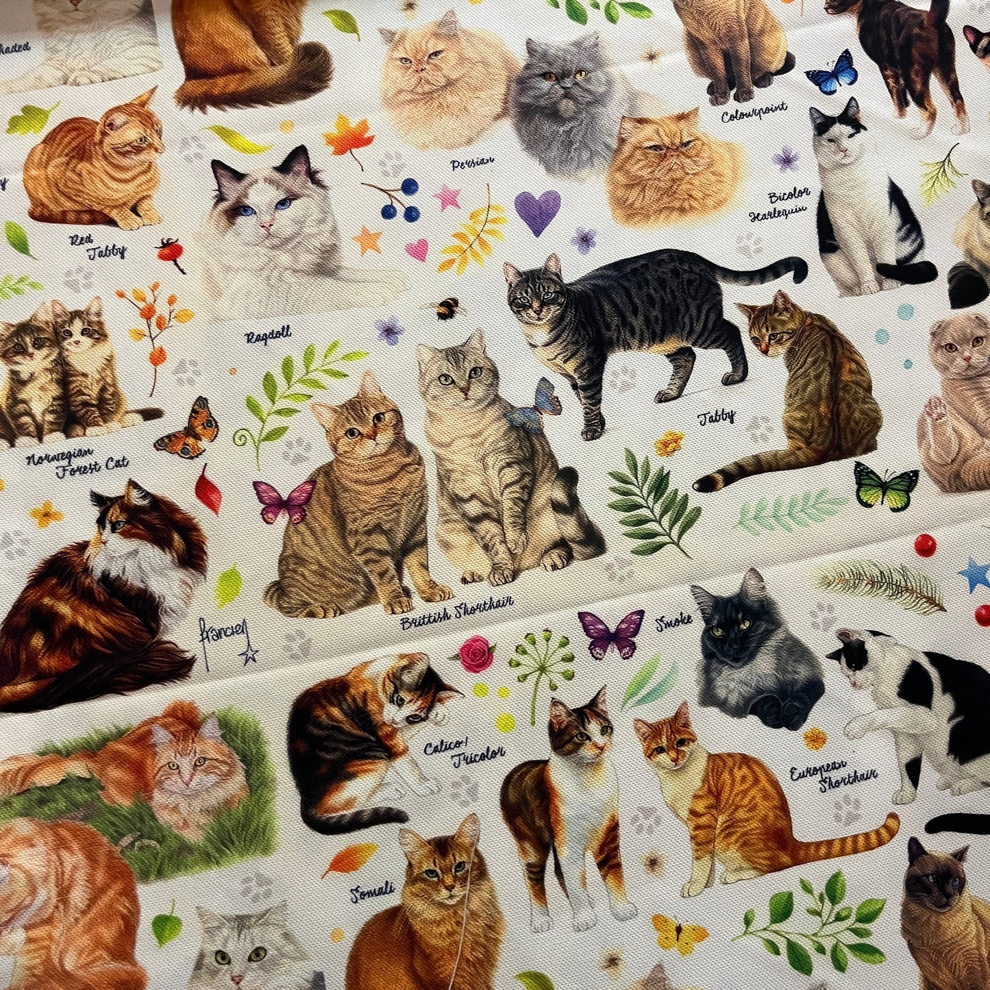 Tissu Impression Numérique - La Population des Chats Tissu Ameublement MYTISSUS