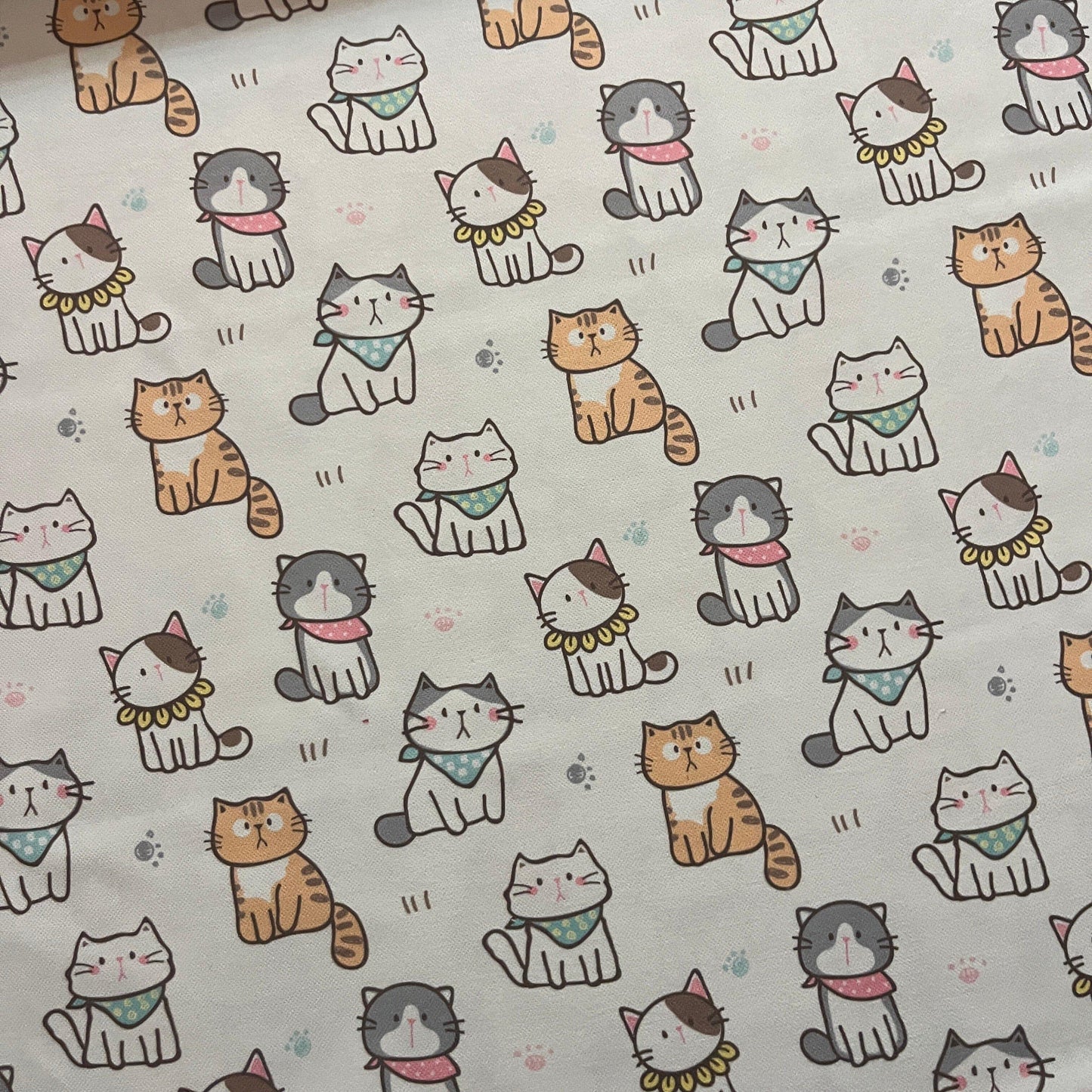 Tissu Impression Numérique - Les Petits Chatons - MYTISSUS