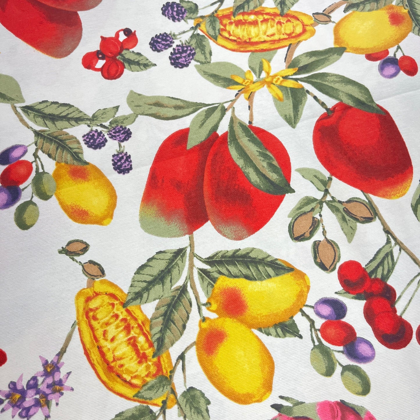 Toile Déperlante Premium - Fruits Asiatiques Tissu Ameublement MYTISSUS