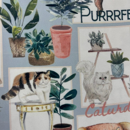 Tissu Chats en Décor - Scènes de Vie Mytissus pour Déco et Mode - Boutique MyTissus Marckolsheim Alsace