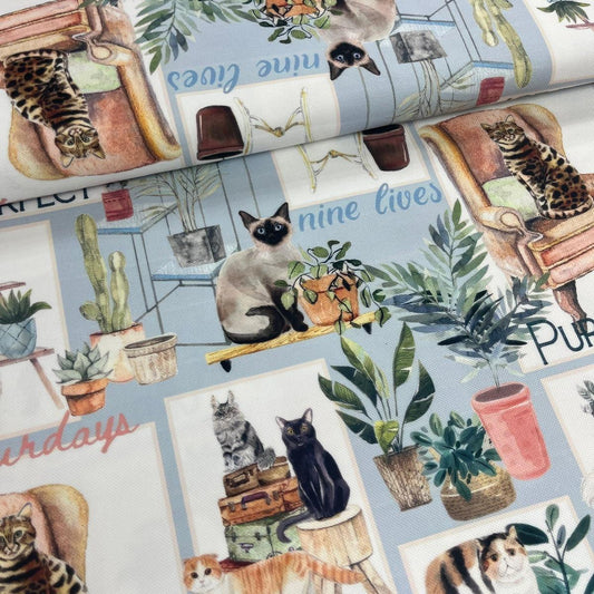 Tissu Chats en Décor - Scènes de Vie Mytissus pour Déco et Mode - Boutique MyTissus Marckolsheim Alsace
