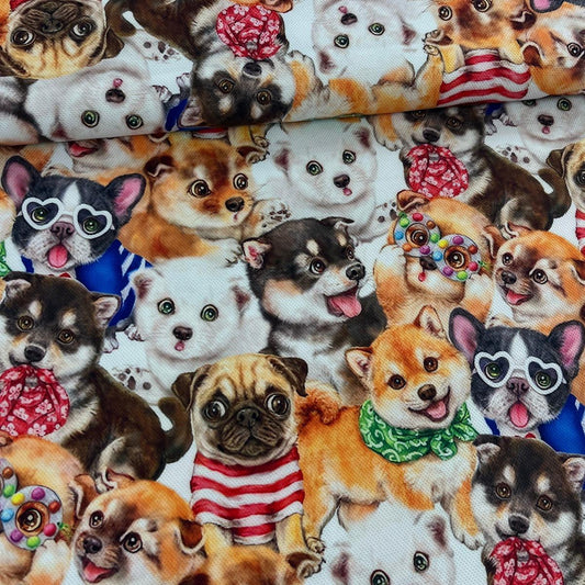 Tissu Chiens Mignons Multi-Races - Douceur et Tendresse Mytissus pour Déco et Mode - Boutique MyTissus Marckolsheim Alsace