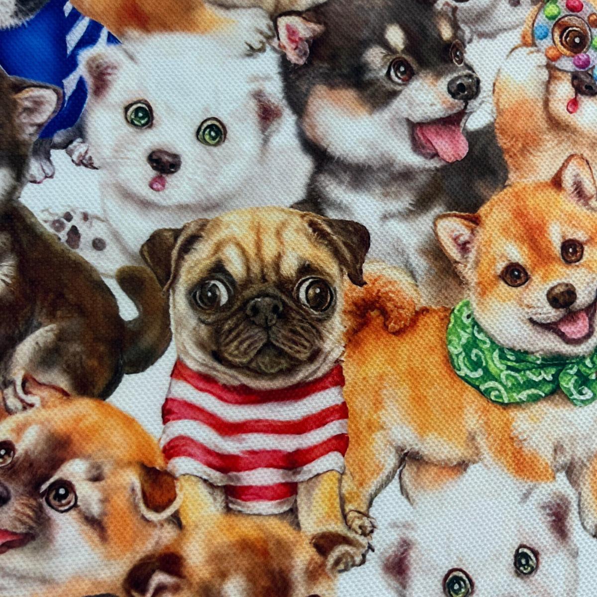 Tissu Chiens Mignons Multi-Races - Douceur et Tendresse Mytissus pour Déco et Mode - Boutique MyTissus Marckolsheim Alsace