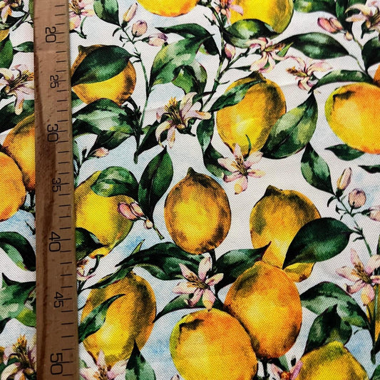 Tissu Impression Numérique - Citrons Vintage pour Déco et Mode - Boutique MyTissus Marckolsheim Alsace