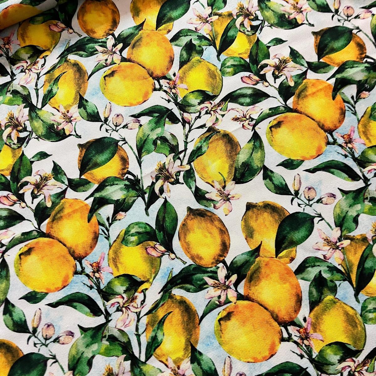 Tissu Impression Numérique - Citrons Vintage pour Déco et Mode - Boutique MyTissus Marckolsheim Alsace