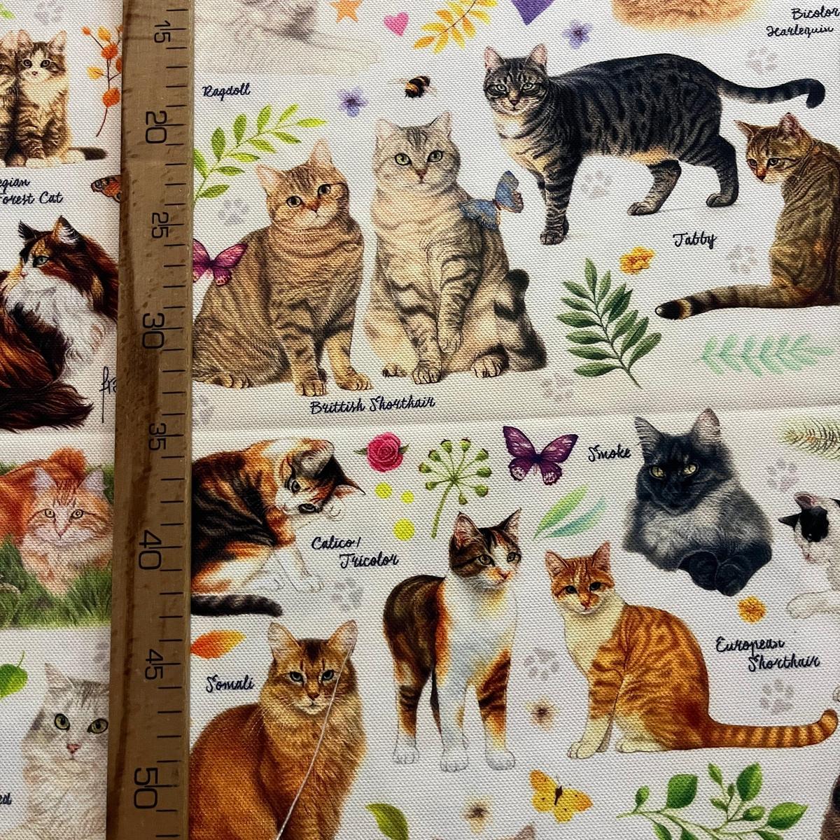 Tissu Impression Numérique Multi-Races de Chats Mignons & Chaton pour Déco et Mode - Boutique MyTissus Marckolsheim Alsace
