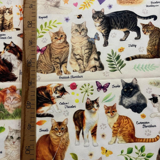 Tissu Impression Numérique Multi-Races de Chats Mignons & Chaton pour Déco et Mode - Boutique MyTissus Marckolsheim Alsace