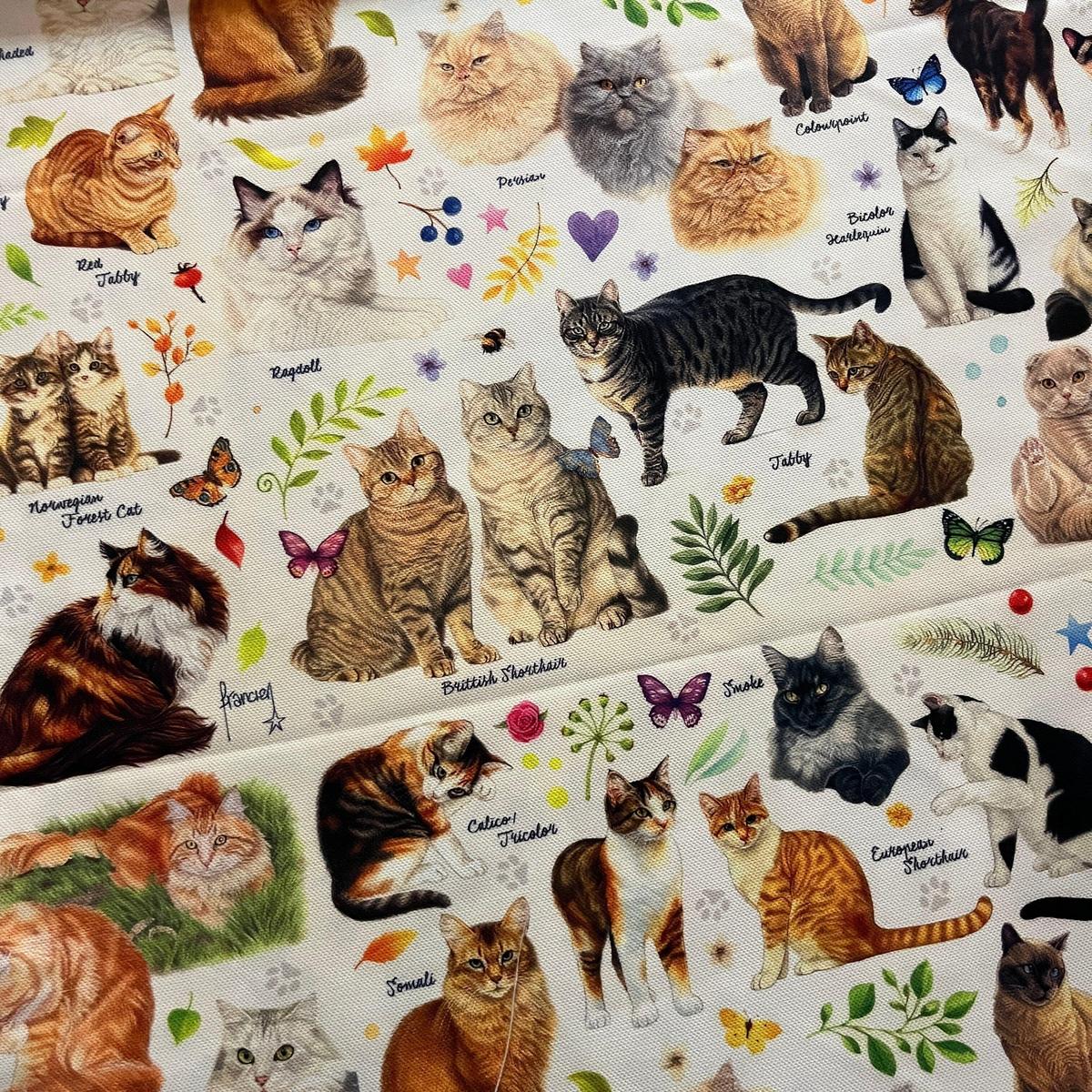 Tissu Impression Numérique Multi-Races de Chats Mignons & Chaton pour Déco et Mode - Boutique MyTissus Marckolsheim Alsace