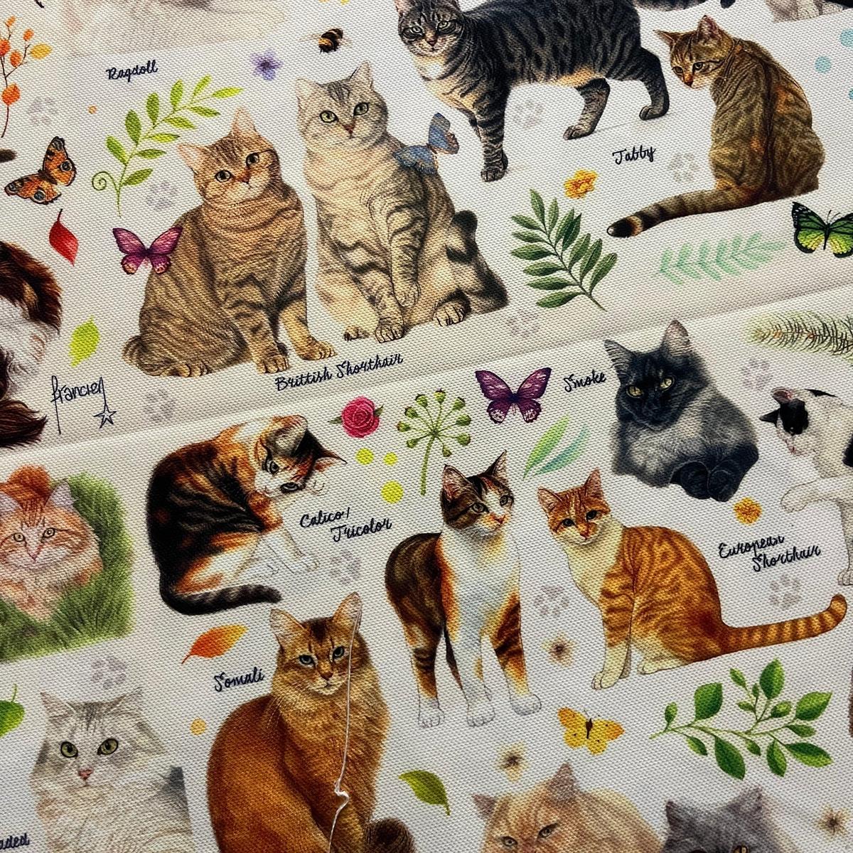 Tissu Impression Numérique Multi-Races de Chats Mignons & Chaton pour Déco et Mode - Boutique MyTissus Marckolsheim Alsace
