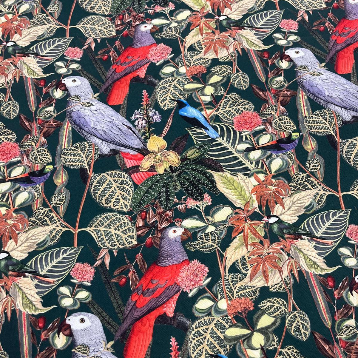 Tissu Impression Numérique Oiseaux et Feuillages - Toile de Coton 250g pour Déco et Mode - Boutique MyTissus Marckolsheim Alsace