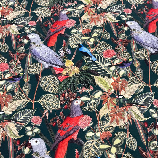 Tissu Impression Numérique Oiseaux et Feuillages - Toile de Coton 250g pour Déco et Mode - Boutique MyTissus Marckolsheim Alsace