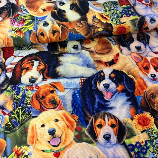 Tissu Multi-Races de Chiens Colorés - Design Graphique Mytissus pour Déco et Mode - Boutique MyTissus Marckolsheim Alsace