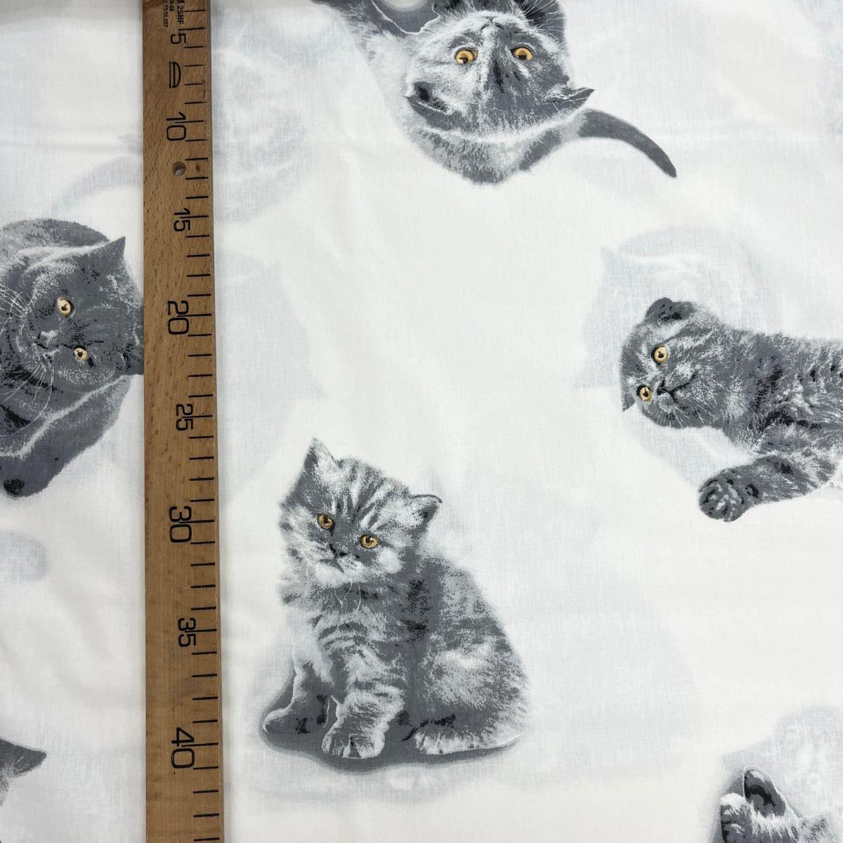 Tissu Popeline de Coton 240cm - Chat Mignon - MyTissus pour Déco et Mode - Boutique MyTissus Marckolsheim Alsace