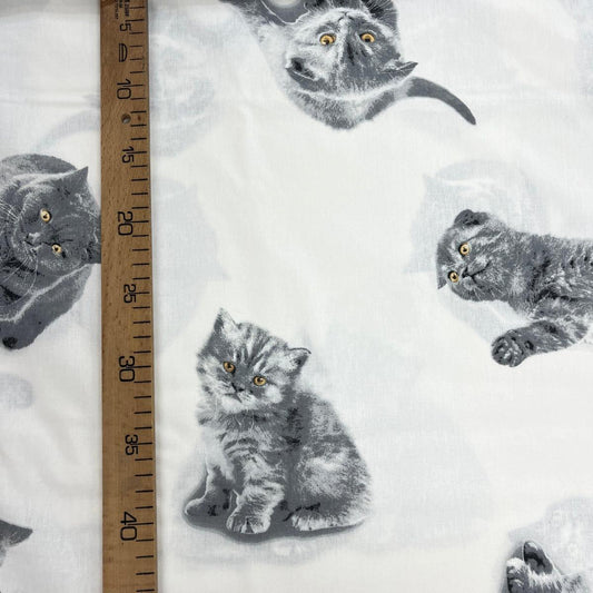 Tissu Popeline de Coton 240cm - Chat Mignon - MyTissus pour Déco et Mode - Boutique MyTissus Marckolsheim Alsace
