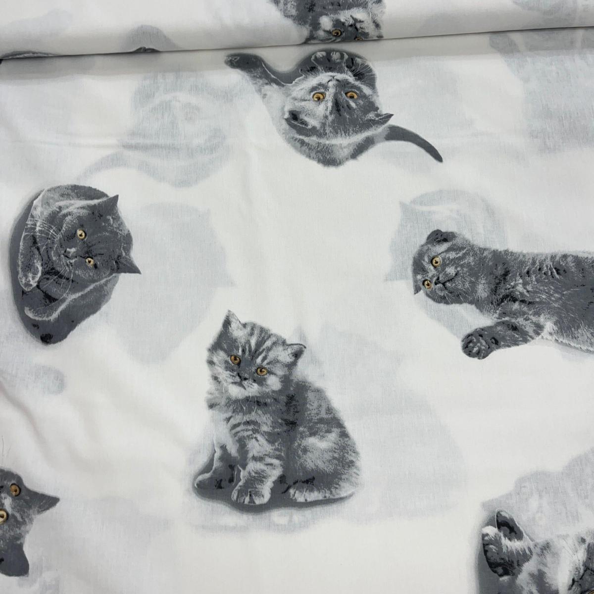 Tissu Popeline de Coton 240cm - Chat Mignon - MyTissus pour Déco et Mode - Boutique MyTissus Marckolsheim Alsace