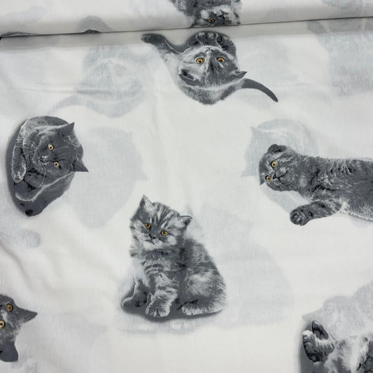 Tissu Popeline de Coton 240cm - Chat Mignon - MyTissus pour Déco et Mode - Boutique MyTissus Marckolsheim Alsace
