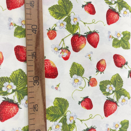Toile Déperlante Premium - Fraises pour Déco et Mode - Boutique MyTissus Marckolsheim Alsace
