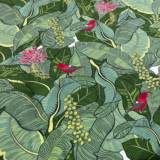 Toile Déperlante Premium - Oiseau sur Feuillages pour Déco et Mode - Boutique MyTissus Marckolsheim Alsace