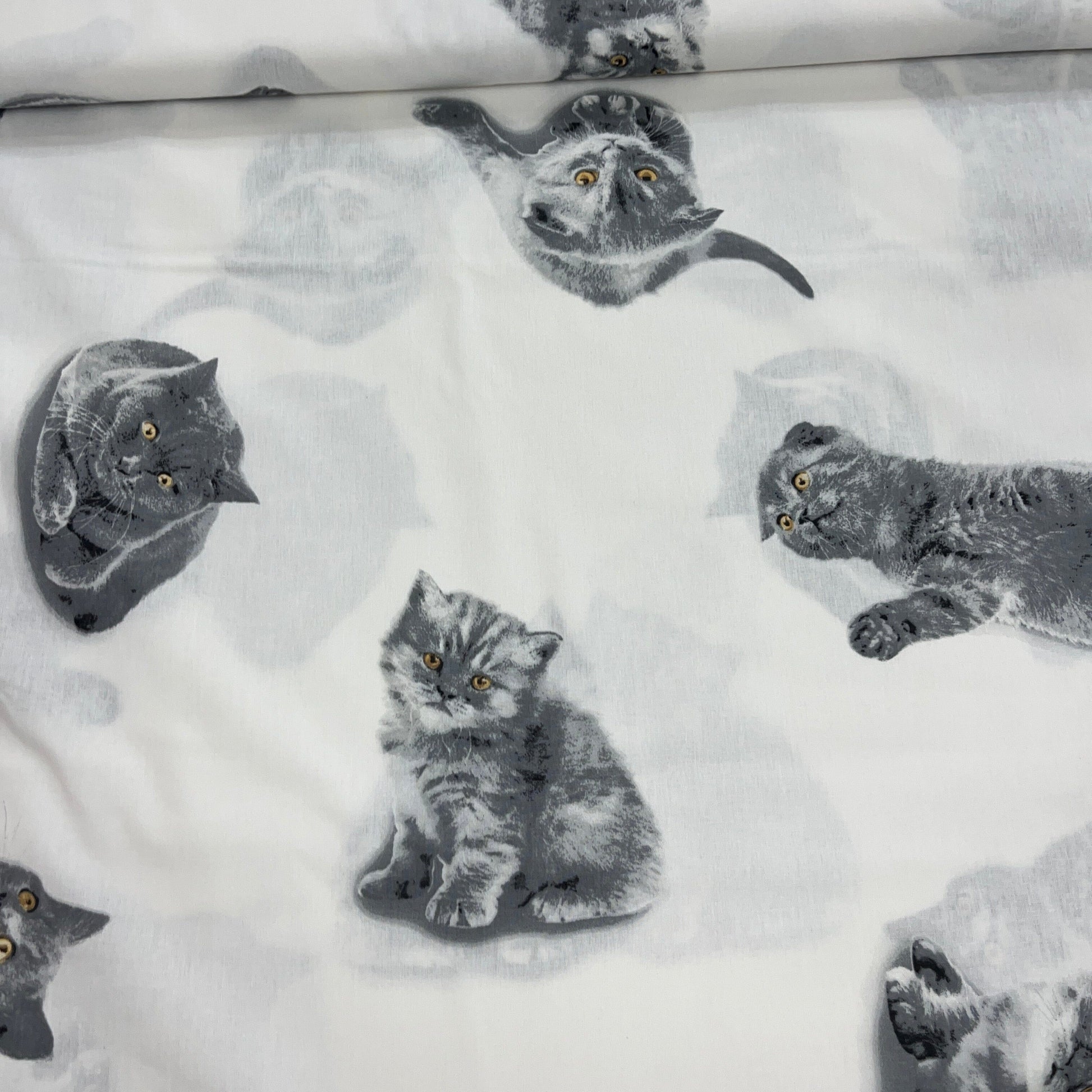 Popeline 100 % Coton Mytissus® - Chat Mignon Tissu Coton MYTISSUS 