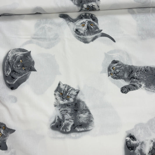 Popeline 100 % Coton Mytissus® - Chat Mignon Tissu Coton MYTISSUS 