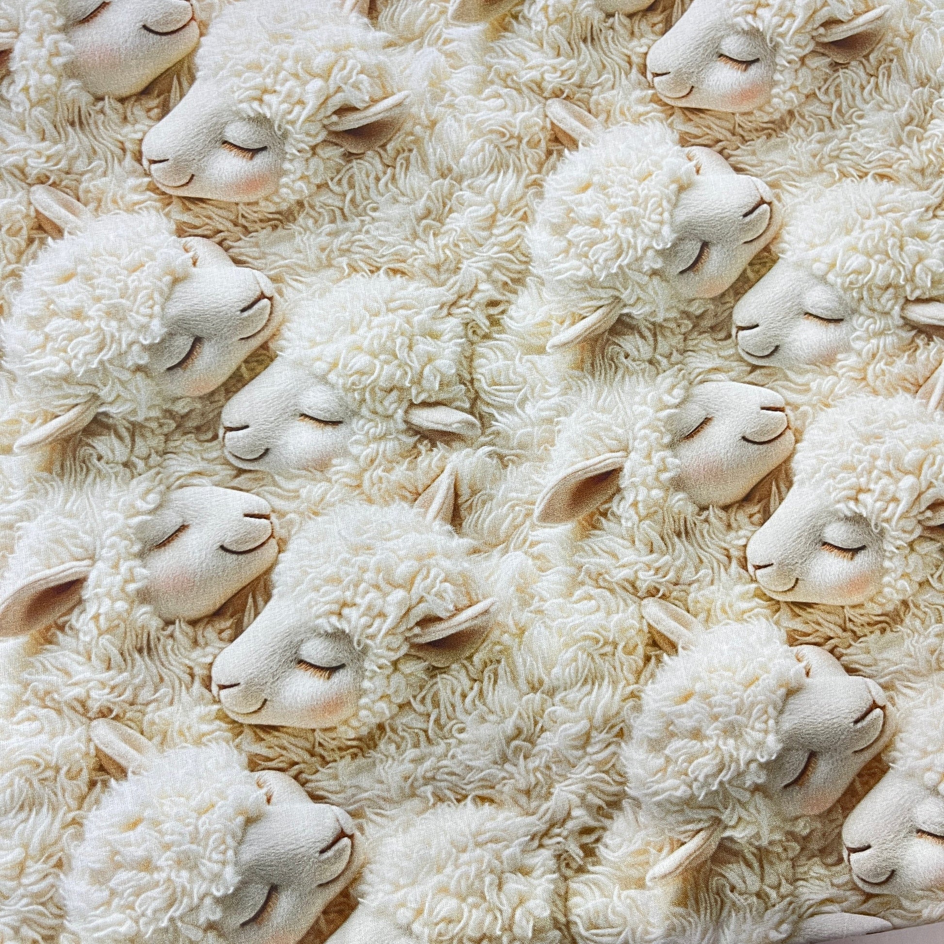 Tissu Coton 3D - Agneaux Mignons MYTISSUS 