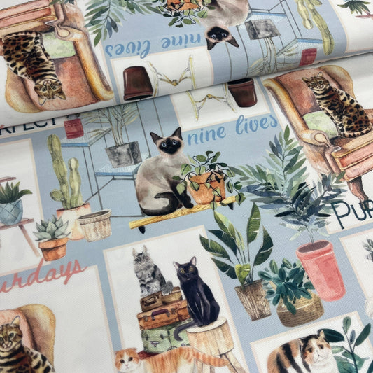 Tissu Impression Numérique - Chats en Décor Tissu Ameublement MYTISSUS 