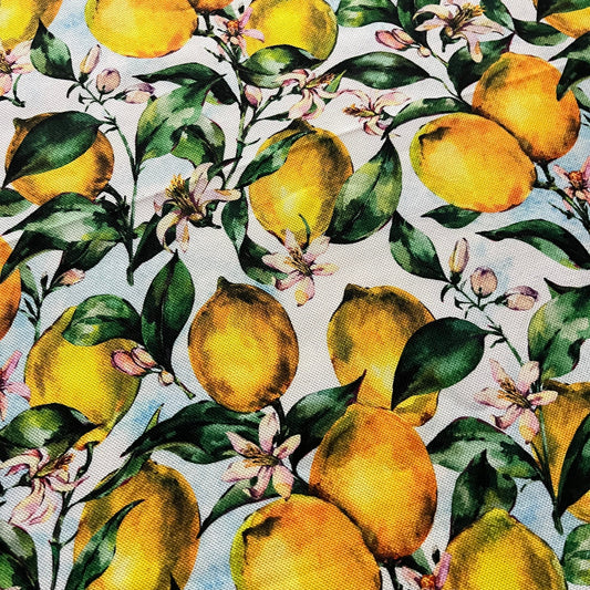 Tissu Impression Numérique - Citrons Vintage Tissu Ameublement MYTISSUS 