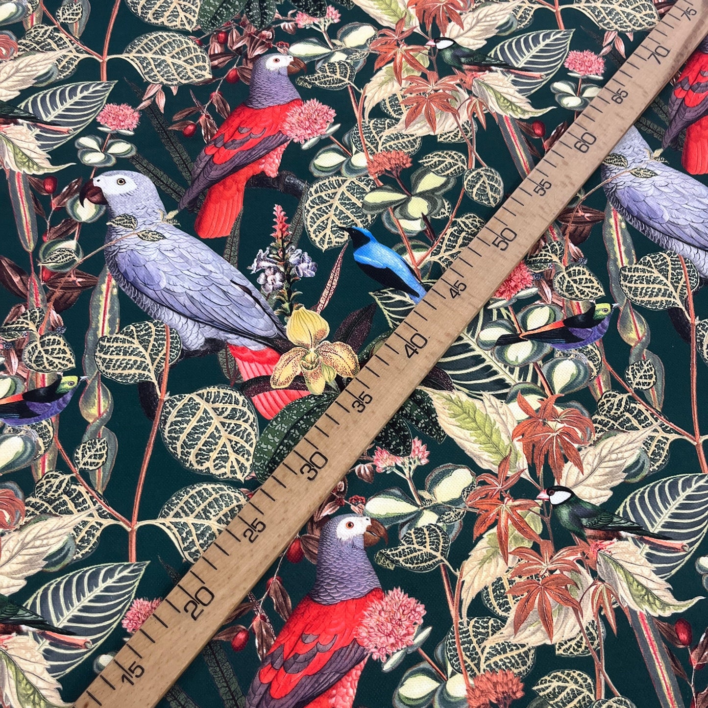 Tissu Impression Numérique - Feuillages et Oiseaux Tissu Ameublement MYTISSUS 