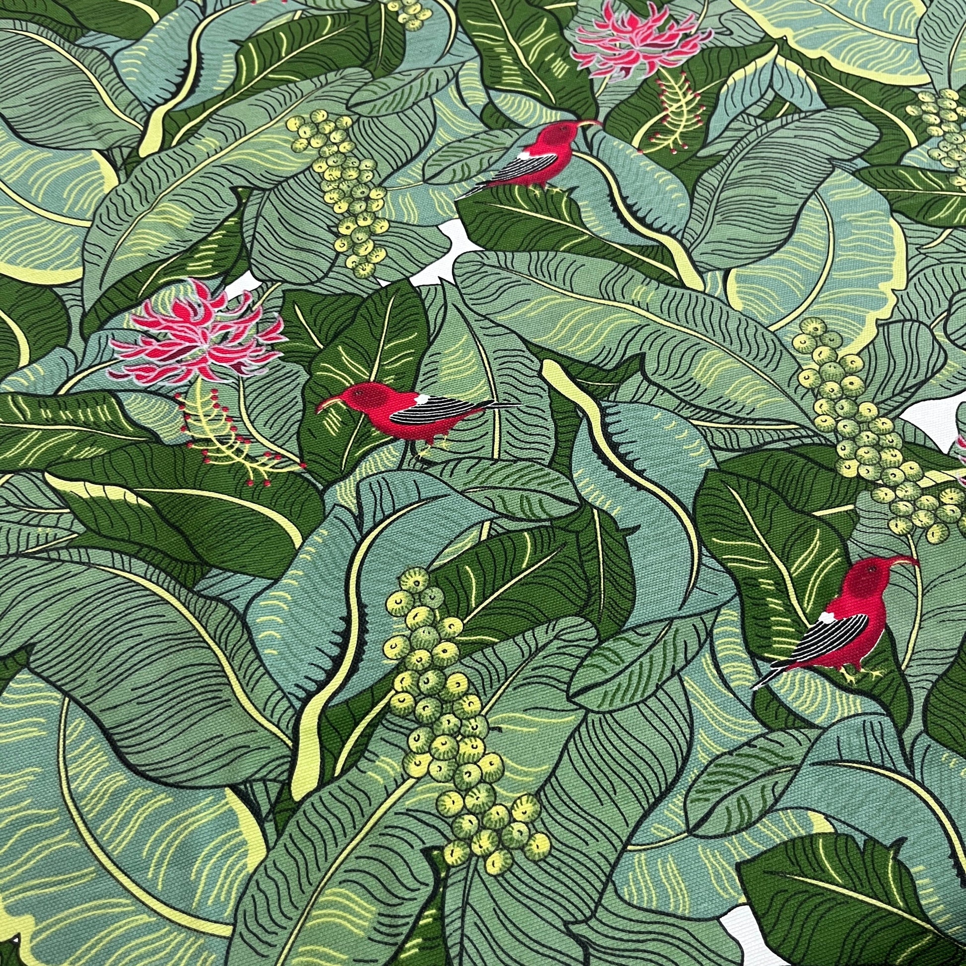 Toile Déperlante Premium - Oiseau sur Feuillages Tissu Ameublement MYTISSUS 